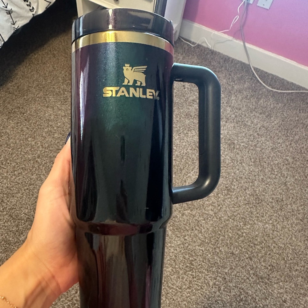 30oz Wicked for Good Stanley